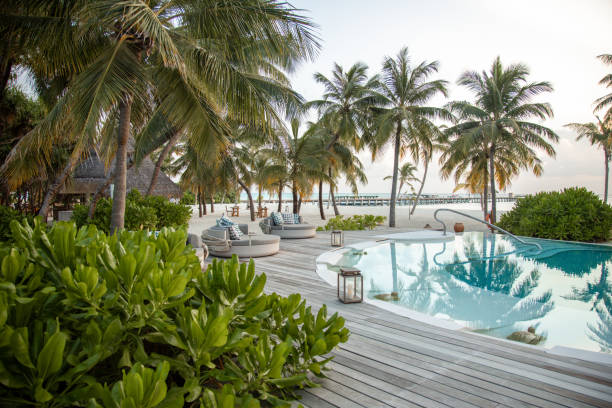 Samea Lodge