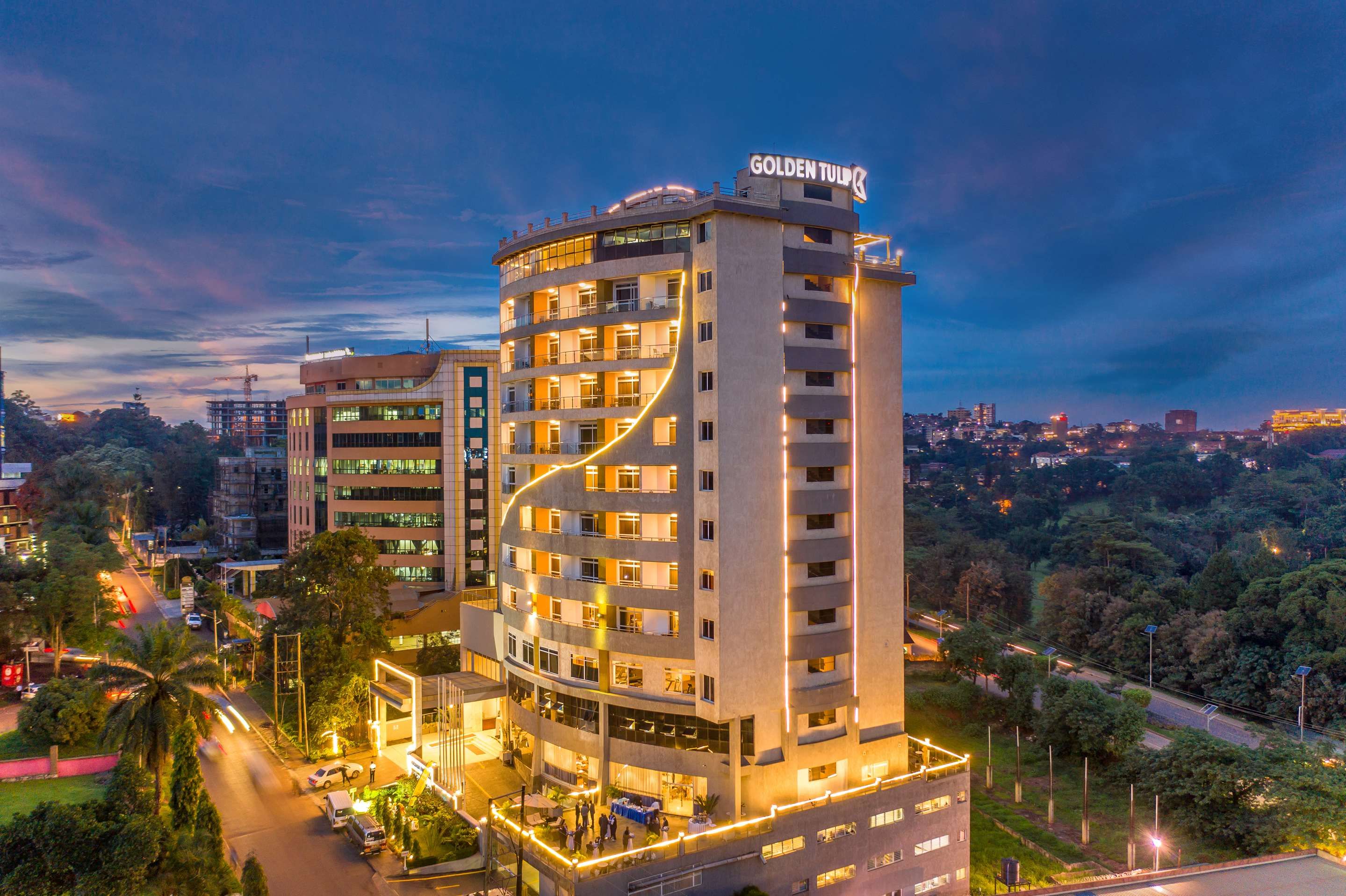 Golden Tulip