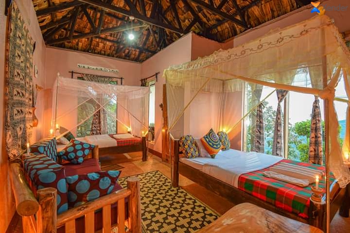 Rafiki lodge sipi