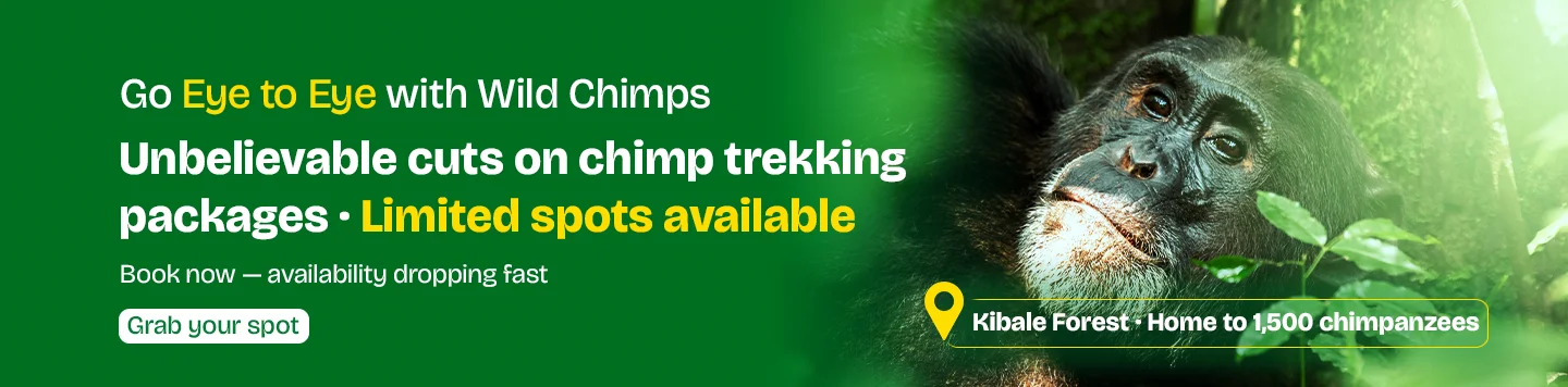 3 DAYS & 2 NIGHTS Into the primate capital of the World